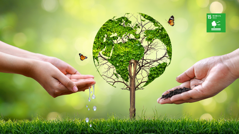 2023年7〜11月分 森林保全への寄付のご報告