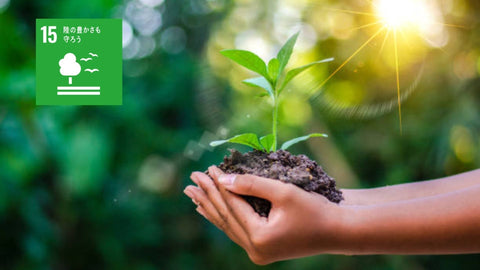 2024年分 森林保全への寄付のご報告