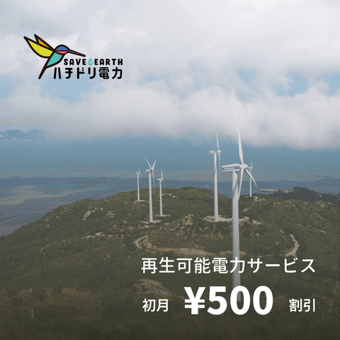Electricity service that uses 100% CO2-free natural energy