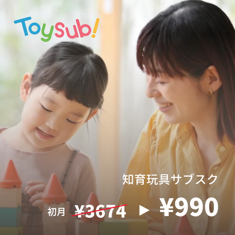 "Toi Sub!", a subscription service that delivers educational toys tailored to each child